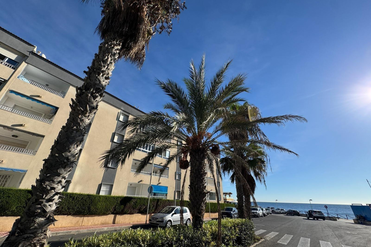 Resale - Apartment  - Torrevieja - Punta prima