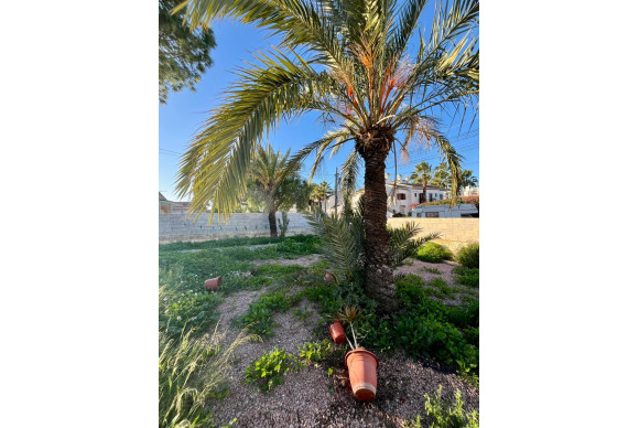 Herverkoop - Villa - Torrevieja - Aguas Nuevas