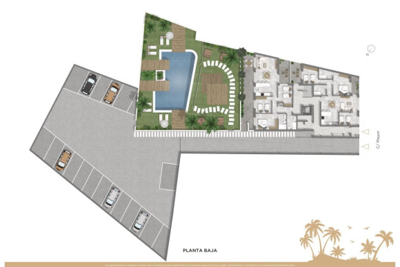 Obra nueva - Apartamentos - Guardamar del Segura - 03140