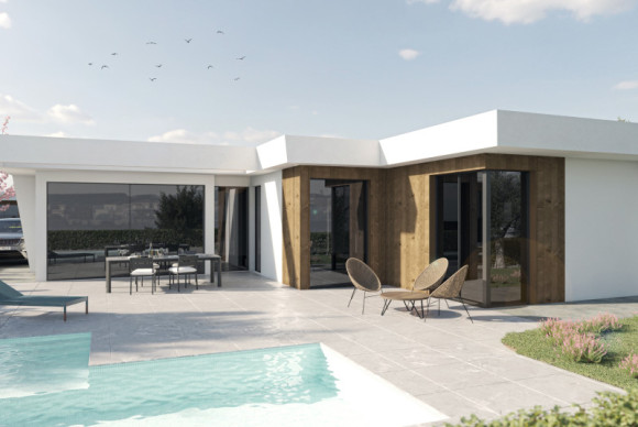 Nouvelle construction - Villas - Murcia - 30155
