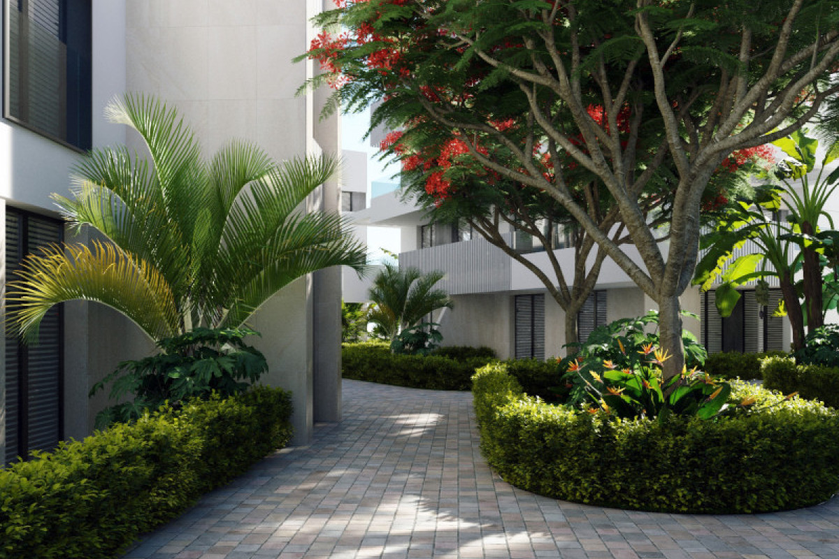 Obra nueva - Apartamentos - Torre-Pacheco - 30710