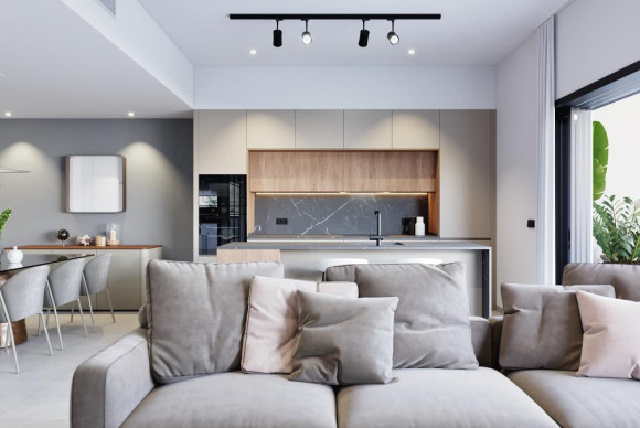 Nouvelle construction - Villas - Pilar de la Horadada - 03190, Infantes 20