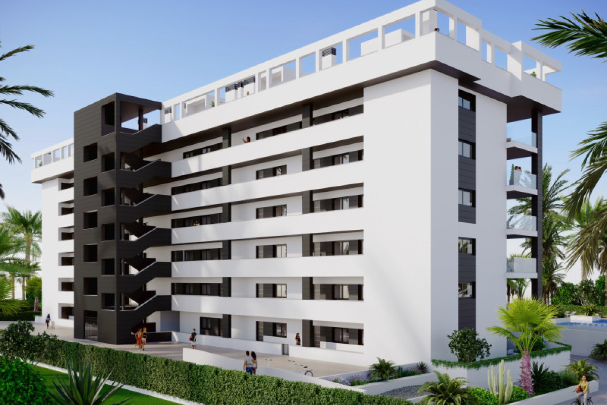 Obra nueva - Bajos - Torrevieja - 03188