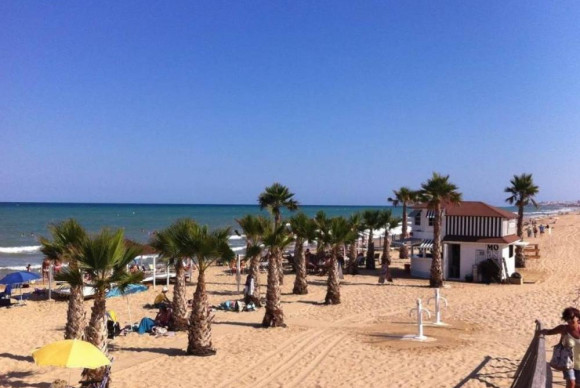 Nouvelle construction - Bajos - Dolores - dolores