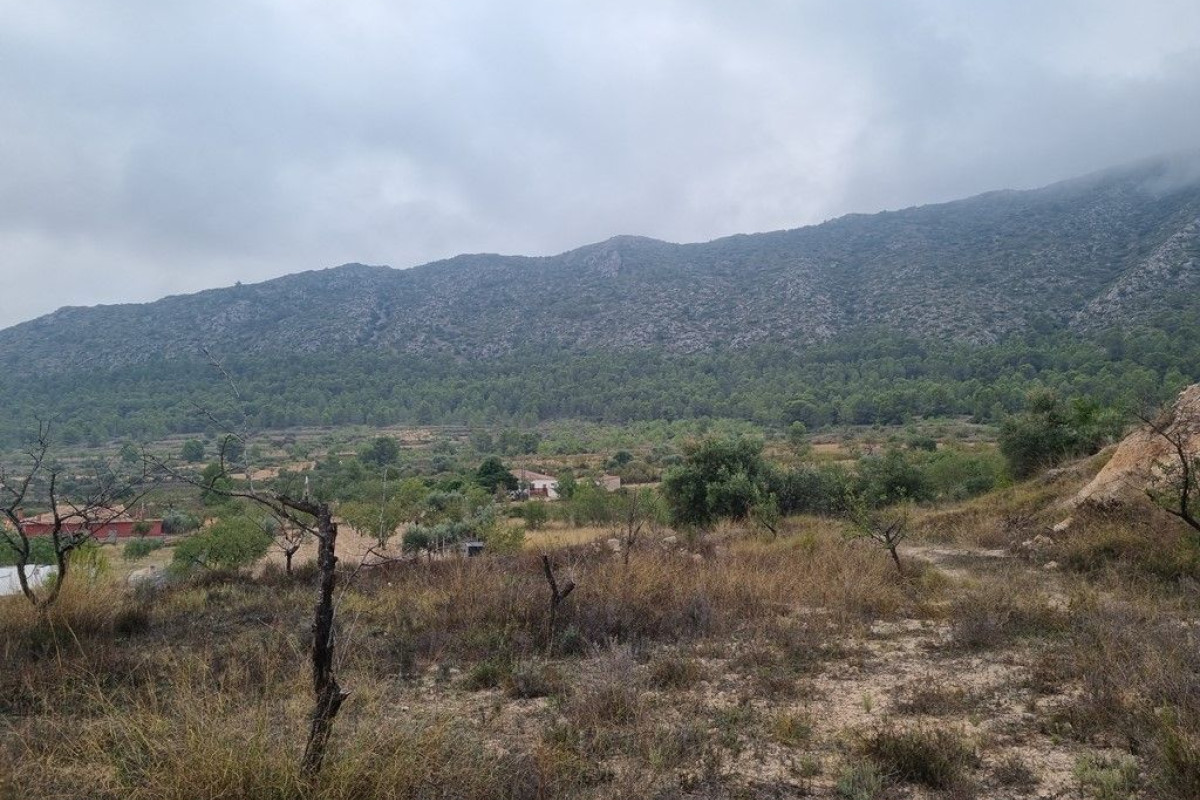 Resale - Country House - La Romana