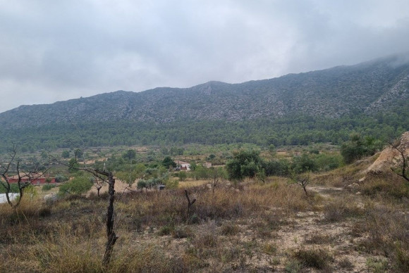 Resale - Country House - La Romana