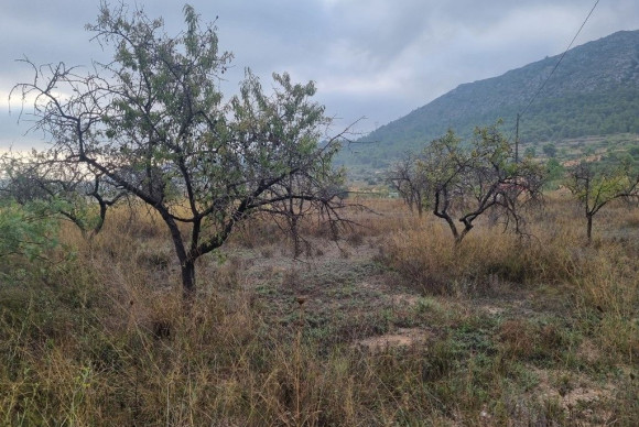 Resale - Country House - La Romana