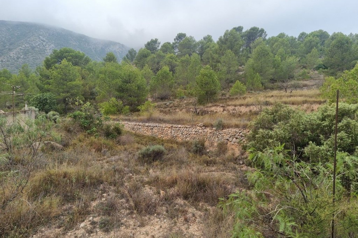 Resale - Country House - La Romana