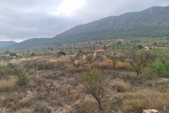 Resale - Country House - La Romana