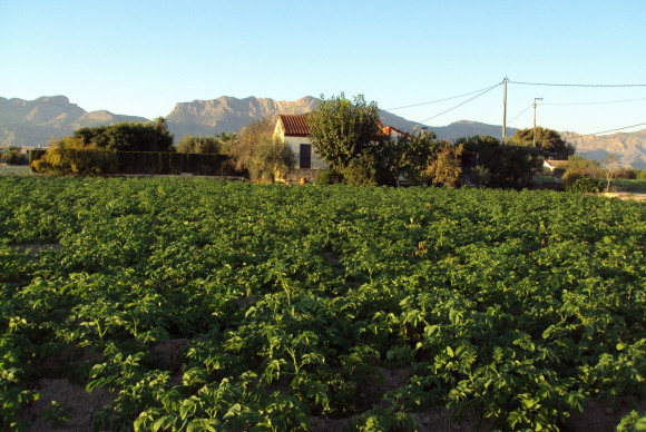 Herverkoop - Landelijke woning - Orihuela Costa - Orihuela