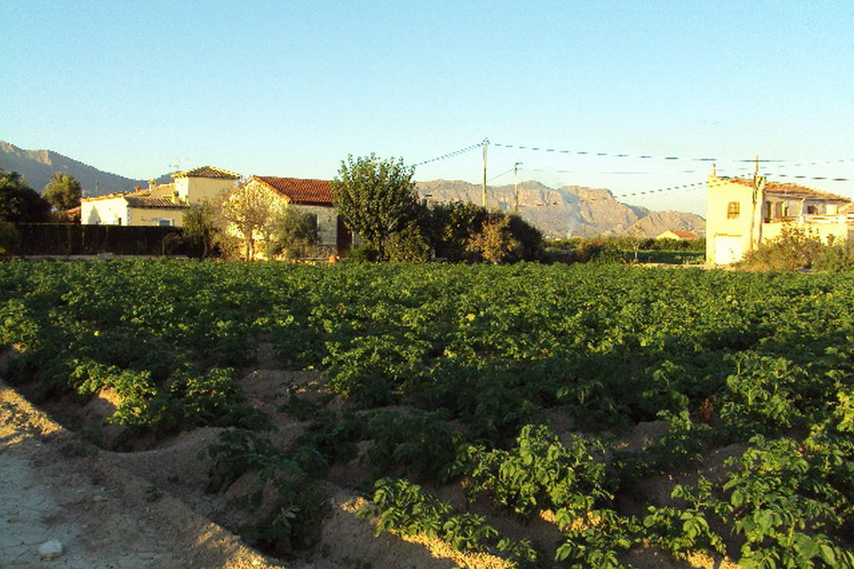 Herverkoop - Landelijke woning - Orihuela Costa - Orihuela