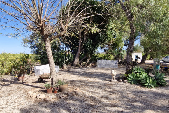 Resale - Country House - Elche