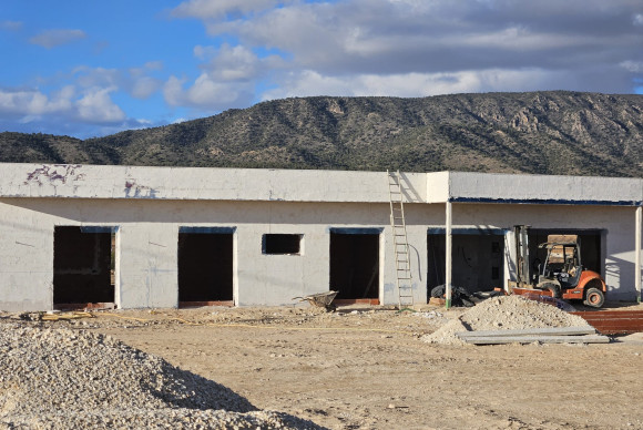 Revente - Country House - PINOSO