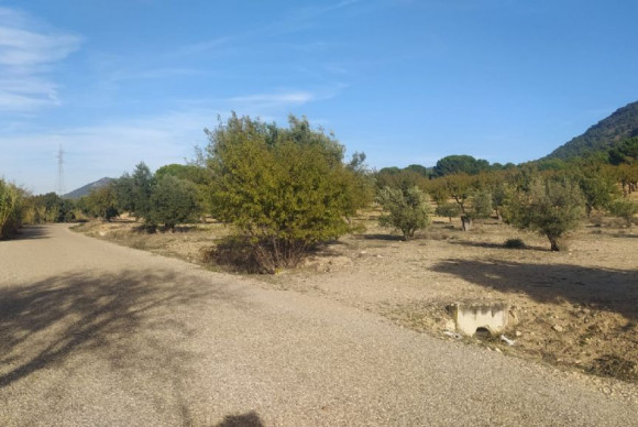 Revente - Parcelle / Terrain - BIAR