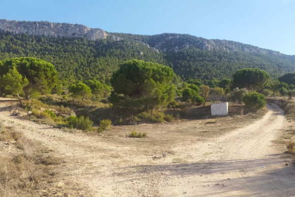 Revente - Parcelle / Terrain - BIAR