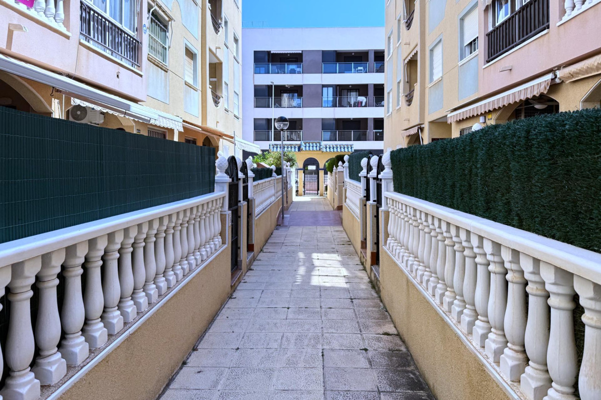 Reventa - Ground Floor - Torrevieja - La Mata pueblo