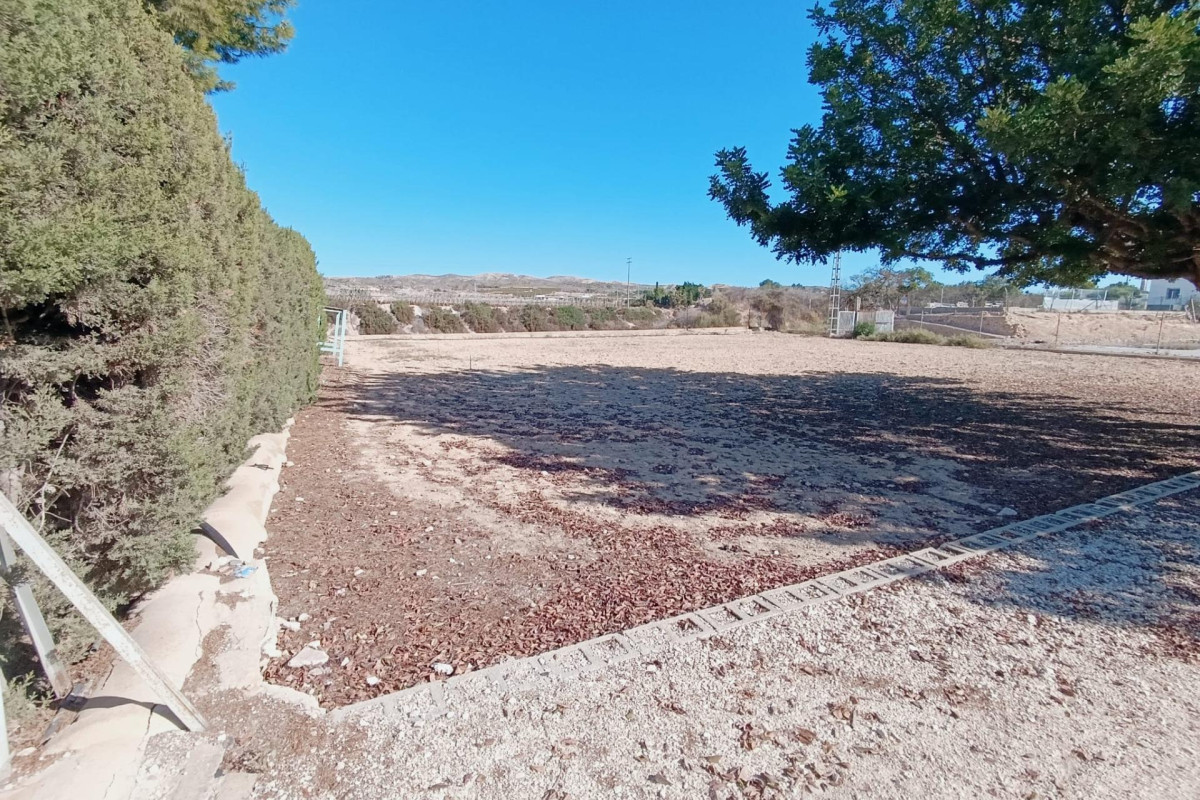 Reventa - Country House - Elche