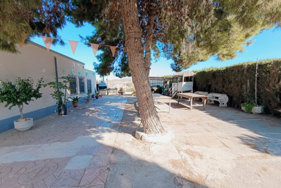 Reventa - Country House - Elche