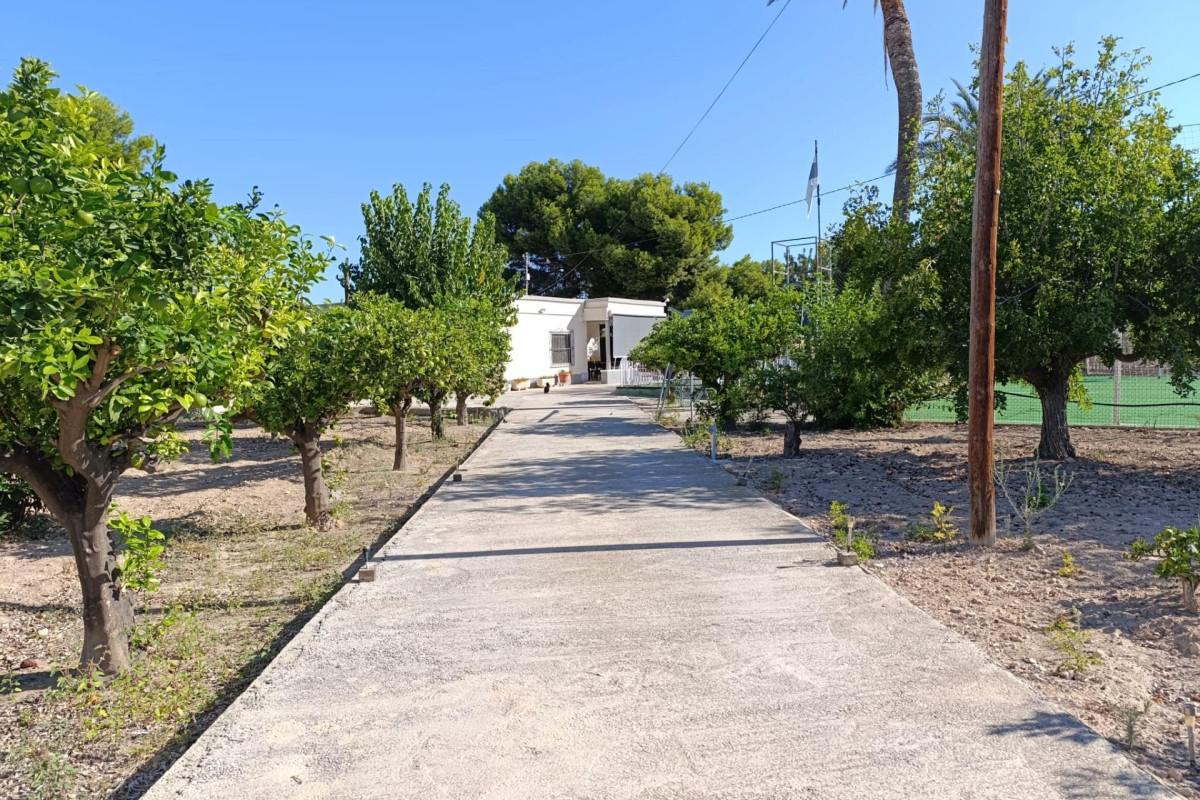 Reventa - Country House - Elche