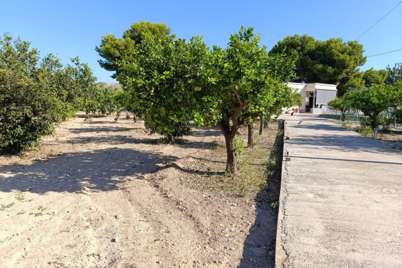 Reventa - Country House - Elche