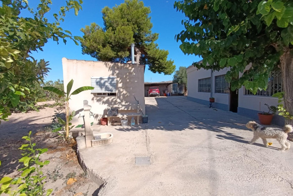 Reventa - Country House - Elche