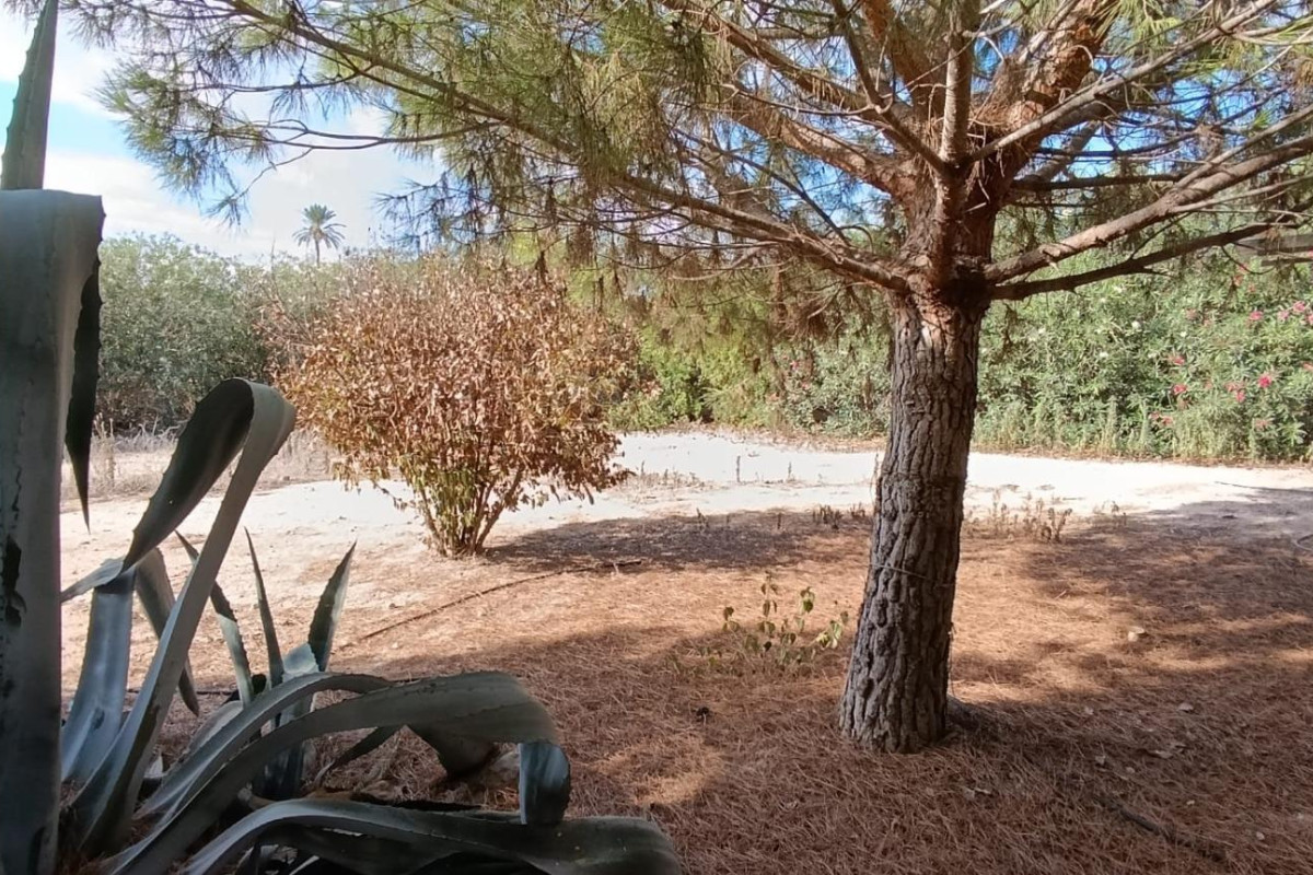 Reventa - Country House - Elche