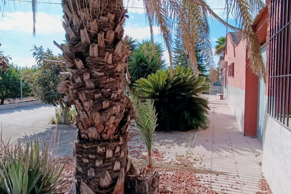 Reventa - Country House - Elche