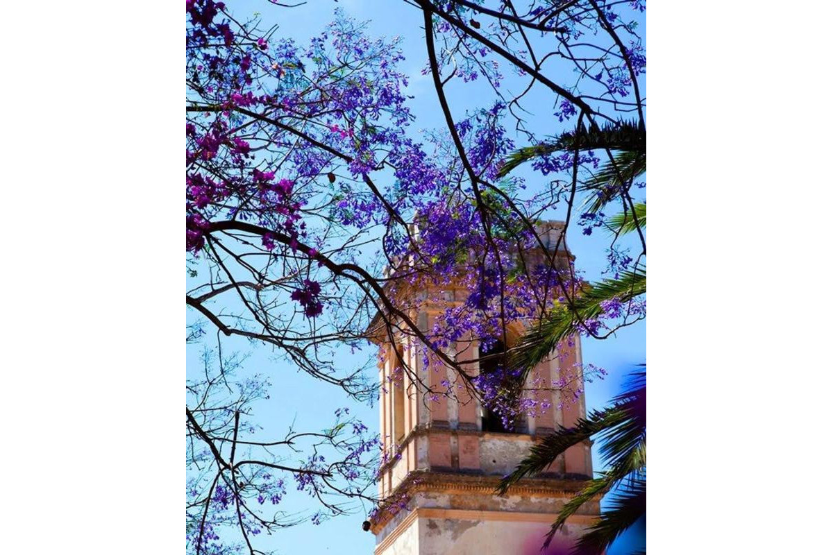 Nieuwbouw - Adosados - Denia - Calle Riu Vernissa, 31