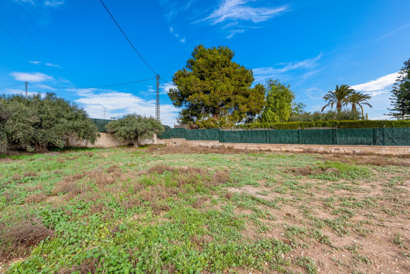 Herverkoop - Landelijke woning - Elche - Elche - Country