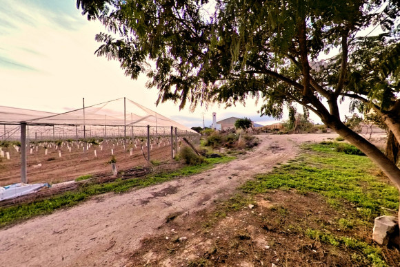 Resale - Country House - Novelda