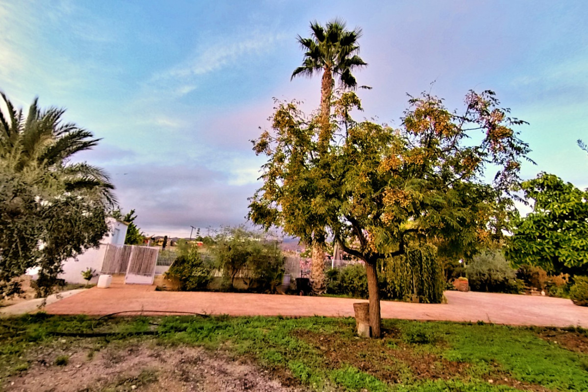 Resale - Country House - Novelda