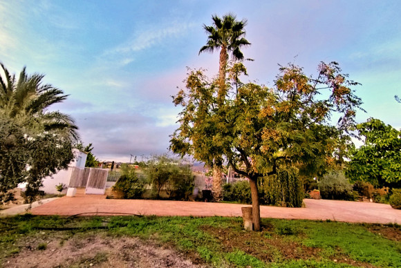 Resale - Country House - Novelda