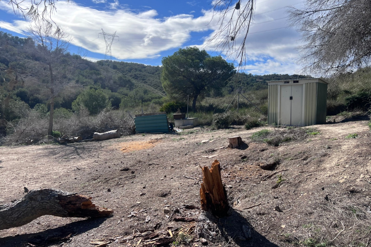 Reventa - Country Property/Finca - Torremendo