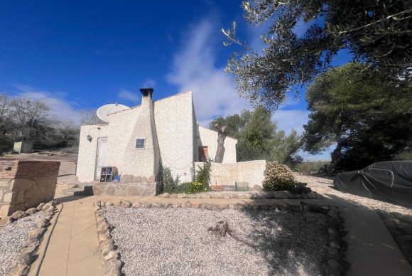 Reventa - Country Property/Finca - Torremendo