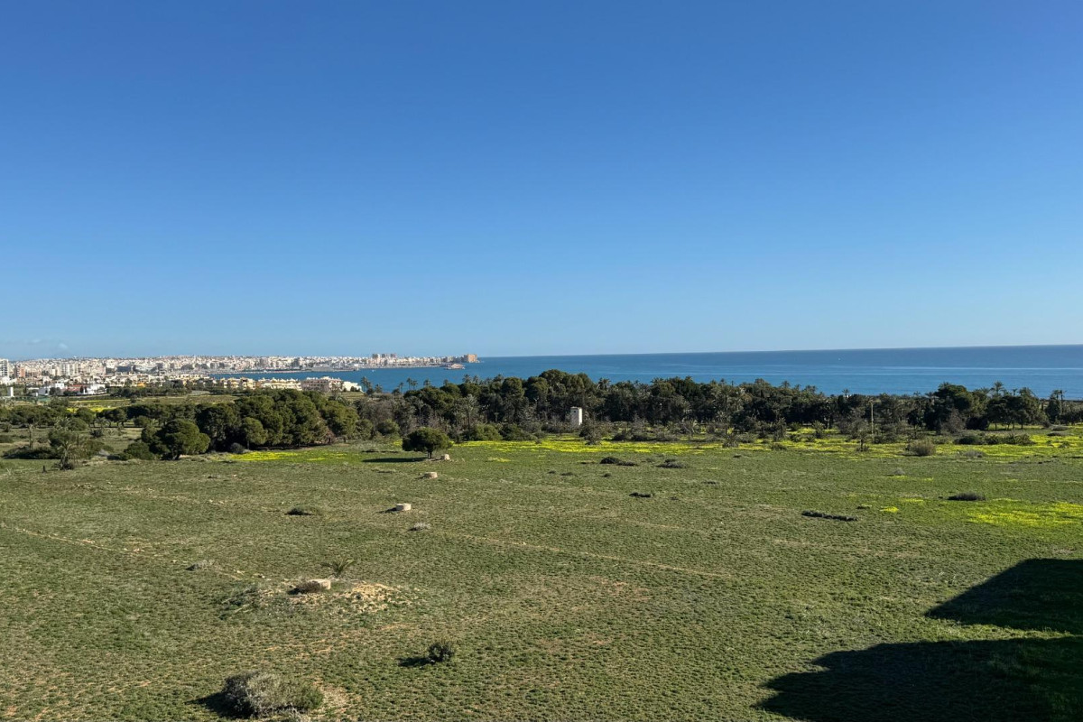 Herverkoop - Appartement  - Torrevieja - Punta prima
