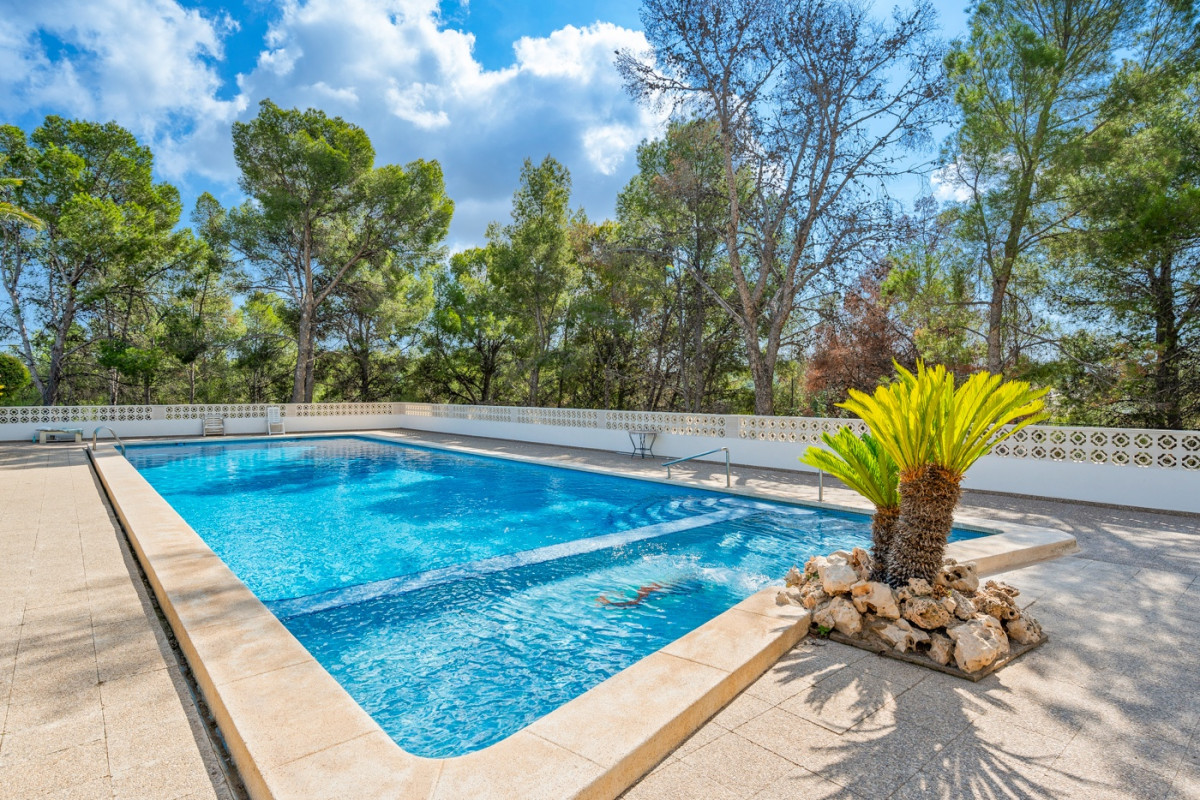 Herverkoop - Appartement  - La Nucia - La Nucia - Town