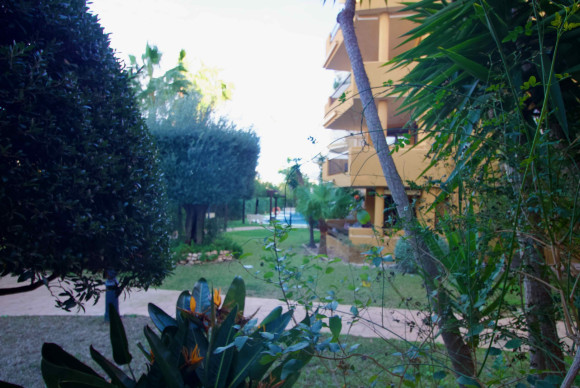 Revente - Appartement - Punta Prima
