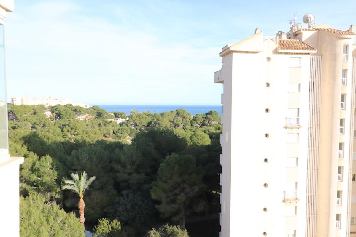 Resale - Apartment  - Dehesa De Campoamor - DEHESA DE CAMPOAMOR