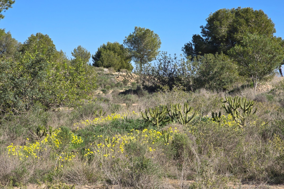 Herverkoop - Appartement  - Orihuela Costa - Villamartin