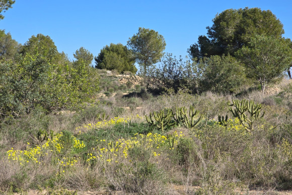 Herverkoop - Appartement  - Orihuela Costa - Villamartin