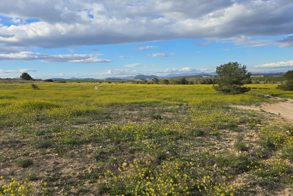 Herverkoop - Appartement  - Orihuela Costa - Villamartin